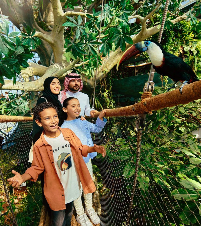 سیاره سبز دبی